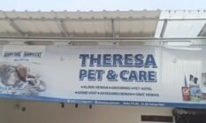 Dugaan Mal Praktek Klinik Dokter Hewan di Grobogan – Anjing Golden Retriever Mati Usai Dibawa ke Klinik, Pemilik Soroti Tindakan Medis Dokter Hewan