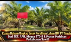 Kuasa Hukum Budhiarto ; Jejak Lahan IUP PT Timah, SKT Masyarakat Beralih ke APH” Kemudian Terbit STD-B Atas Nama Rudy dan Luci