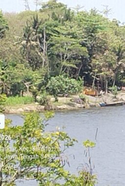 Galian Pasir Pesisir Tanggulangin Dikeluhkan Warga, Lahan Pertanian Terancam Rusak