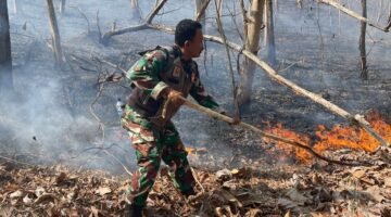 Bersama Petugas Gabungan, Koramil 06/Kesugihan Tangani Kebakaran Lahan Jati