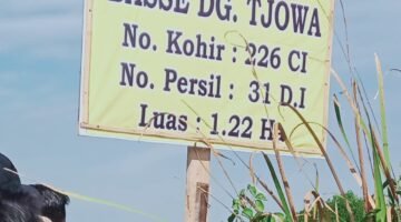 Pengadilan Negeri Makassar Kabulkan Gugatan Ahli Waris, Tanah 12.200 m² di Parangloe Ditetapkan Sah Milik Keluarga
