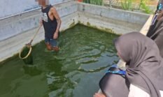 Lapas Pati Bangun Siklus Budidaya Lele Mandiri, Warga Binaan Siap Lebih Berdaya
