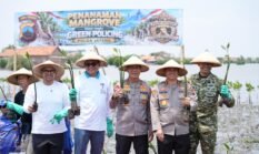 Kapolda Jateng Lakukan Green Policing di Pesisir Batang, Tanam 1.000 Mangrove Bersama Masyarakat