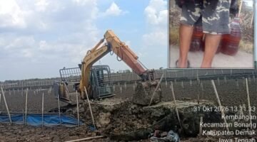 Marak Pengerukan Sawah di Kembangan Bonang Pakai Solar Subsidi dan Tanpa Izin, Aparat Diminta Tegas