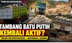 Diduga Beroperasi Tanpa Izin, Tambang Batu Putih di Banyumudal Kebumen Kembali Aktif