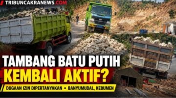 Diduga Beroperasi Tanpa Izin, Tambang Batu Putih di Banyumudal Kebumen Kembali Aktif